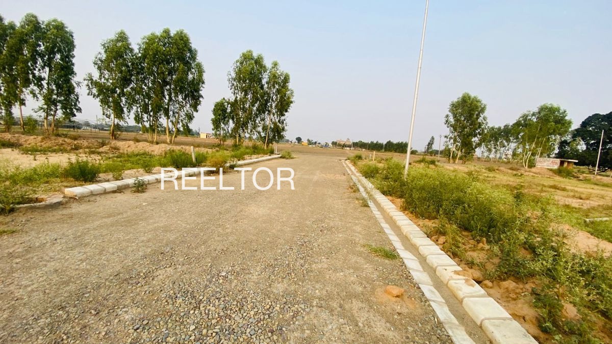 Plots For Sale In Palpur Rajgarh
