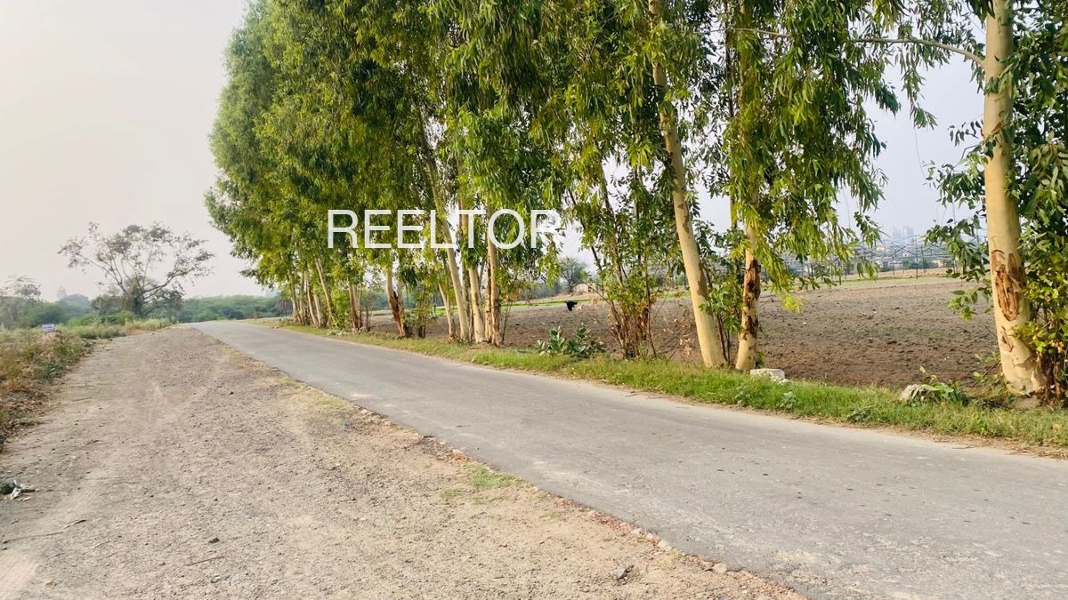 Plots For Sale In Bahadurgarh Jandian Bathinda