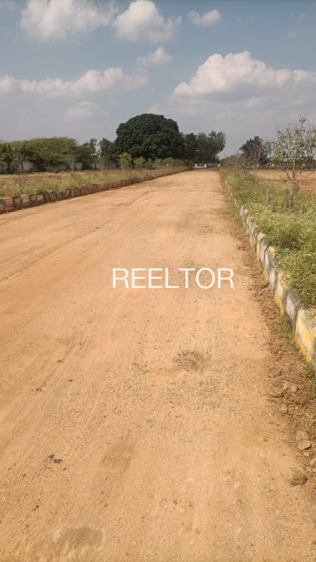 Plots For Sale In Mallu Wala Zira