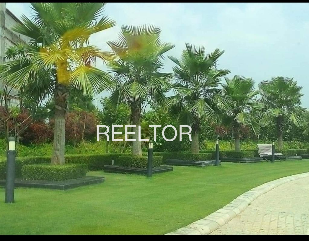 Plots For Sale In Donamaradi Siravarau