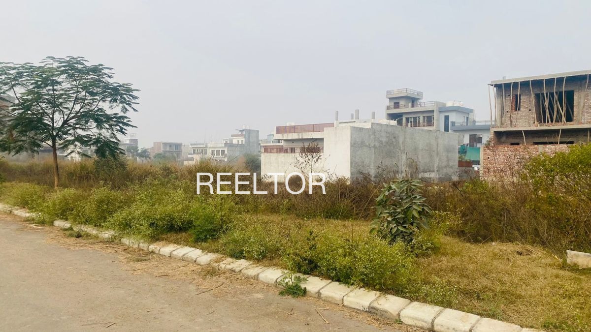 Plots For Sale In Mulchera Maharashtra