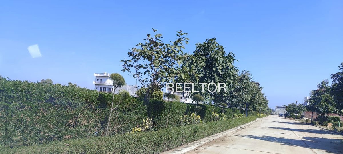 Plots For Sale In Dhandhan Ramgarh Shekhawati