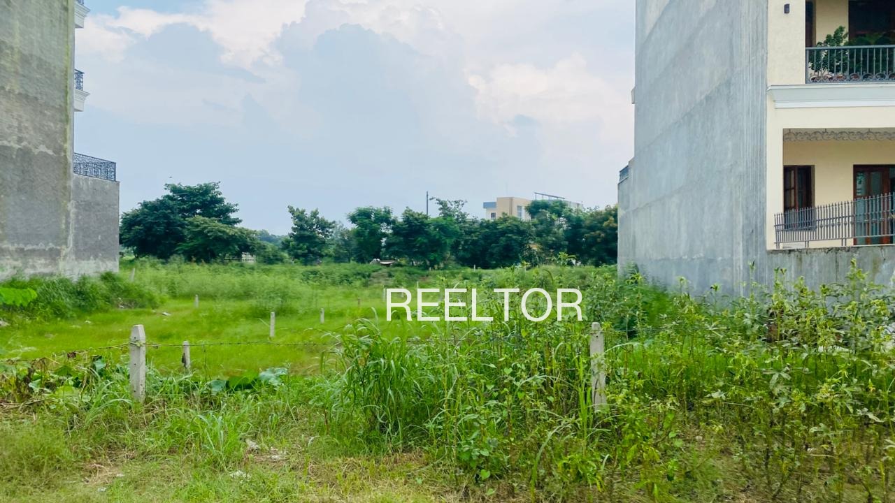 Plots For Sale In Dantapur Gurumitkalu