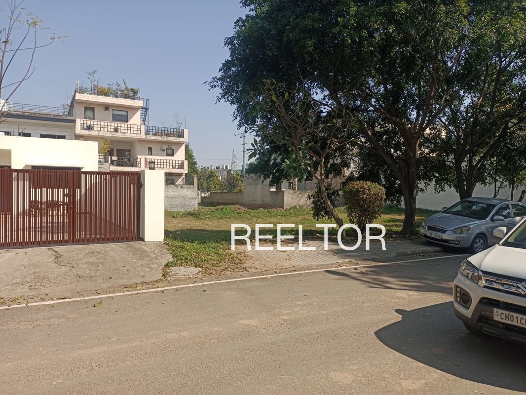 Plots For Sale In Raoke Hithar Guruharsahai