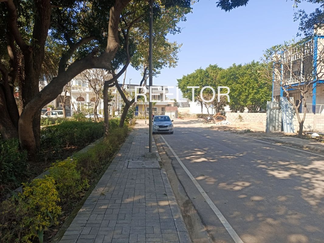 Plots For Sale In Peepakla Rawatbhata