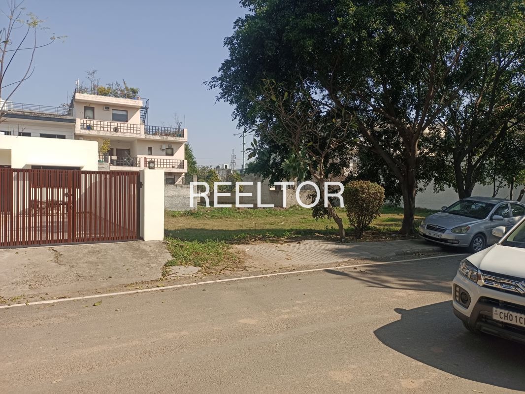 Plots For Sale In Shripatihalli Nelamangala