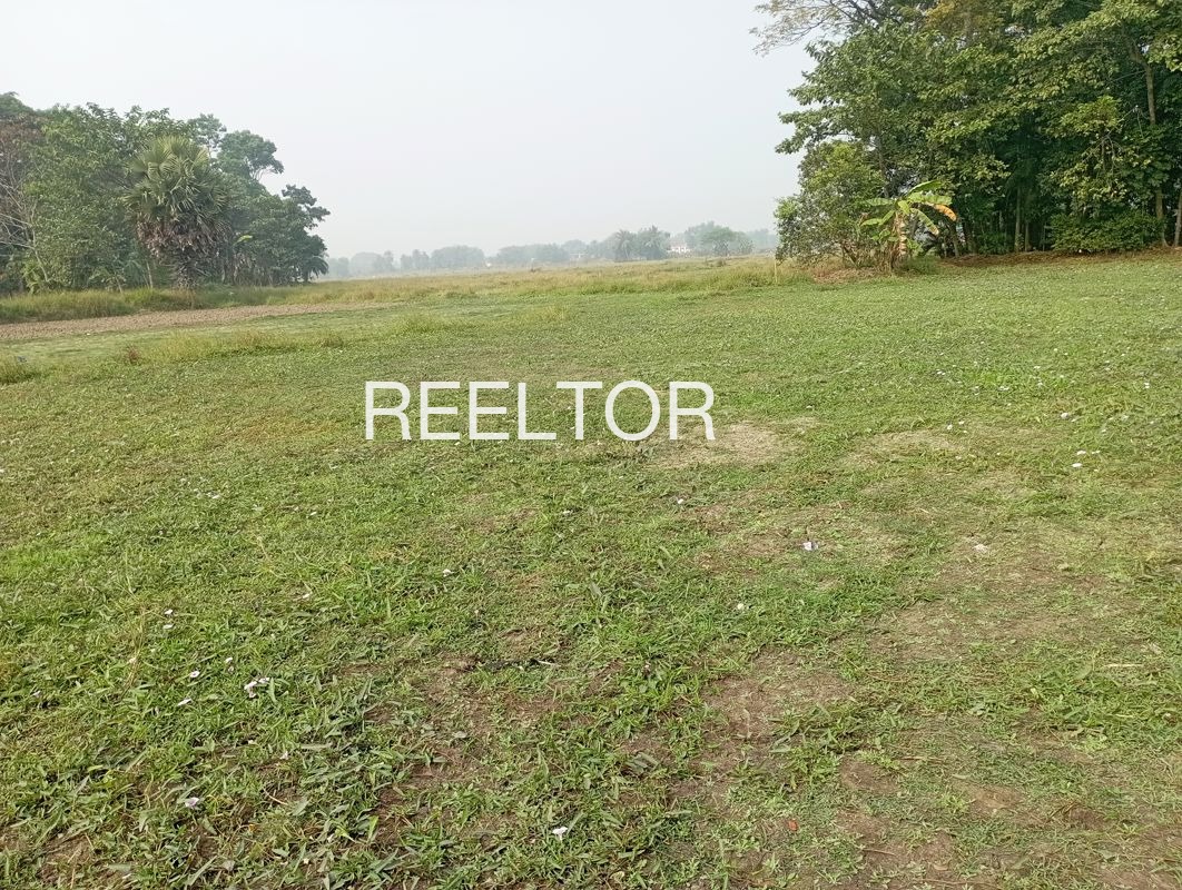 Plots For Sale In Matili Rathan Ganganagar