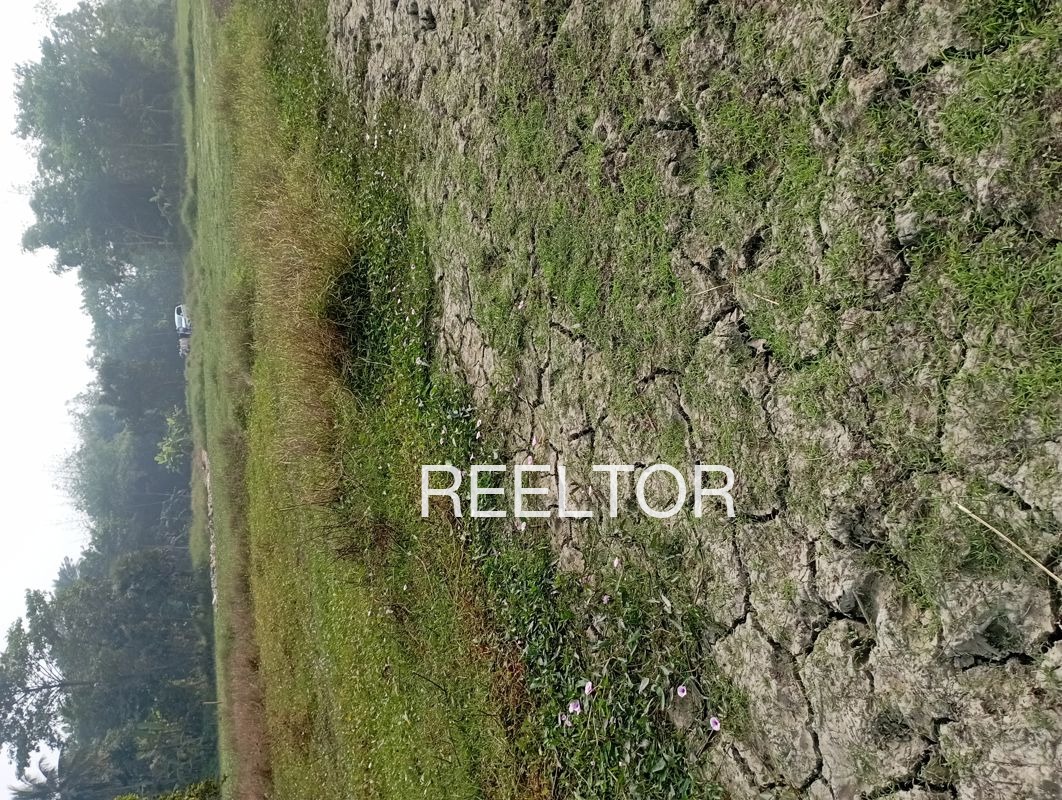 Plots For Sale In Mehrana Dadri