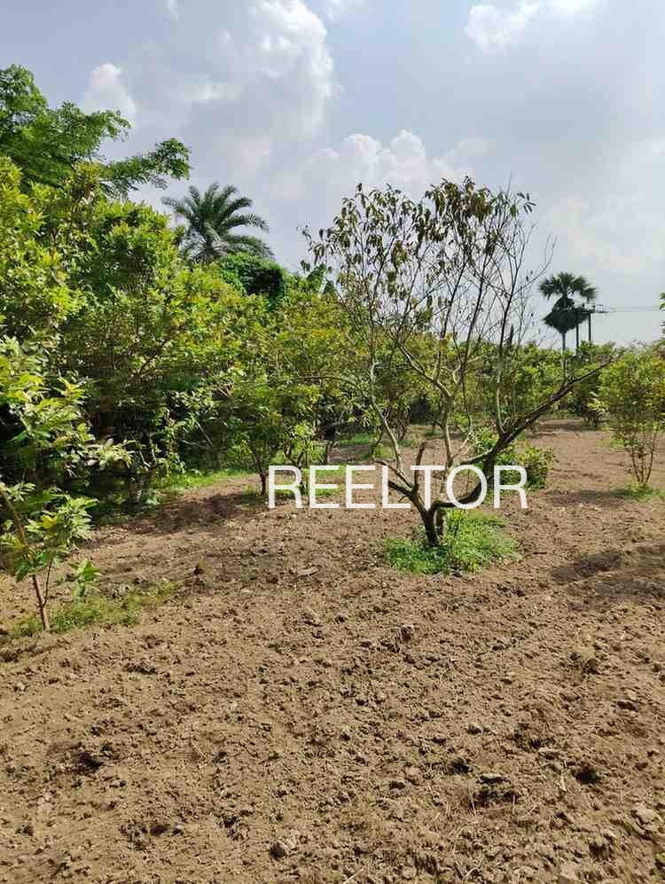 Plots For Sale In Jodi Hosuru Nagamangala