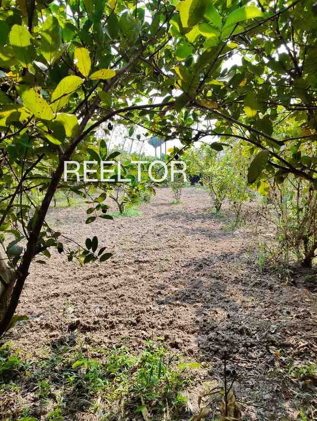 Plots For Sale In Dalelpura Hindoli