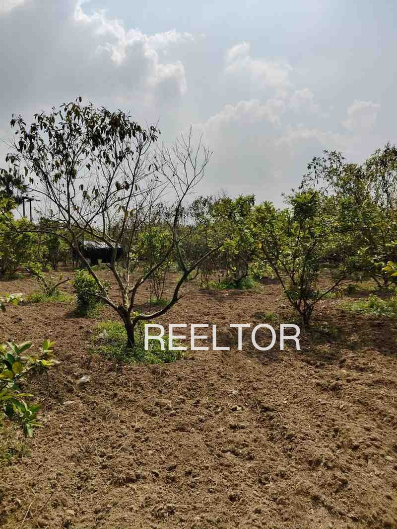 Plots For Sale In Mulchera Maharashtra