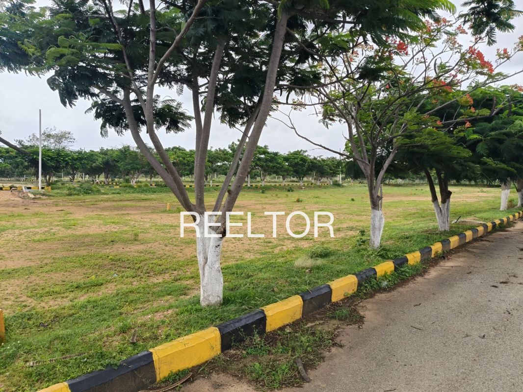 Plots For Sale In Kuriya Beri Jaisalmer