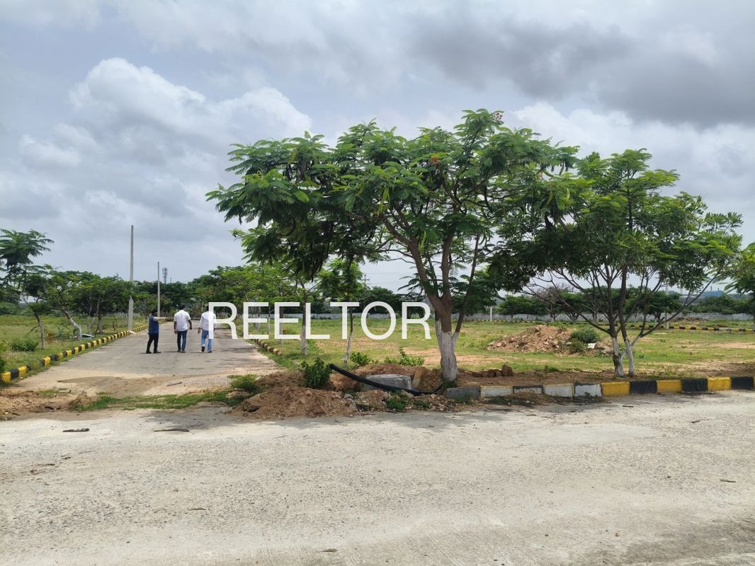 Plots For Sale In Karer Tamia