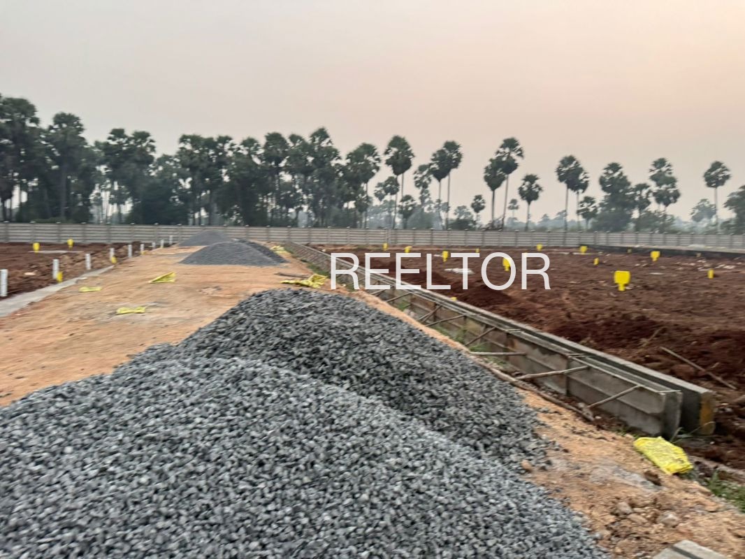 Plots For Sale In Khedekarwadi Kankavli