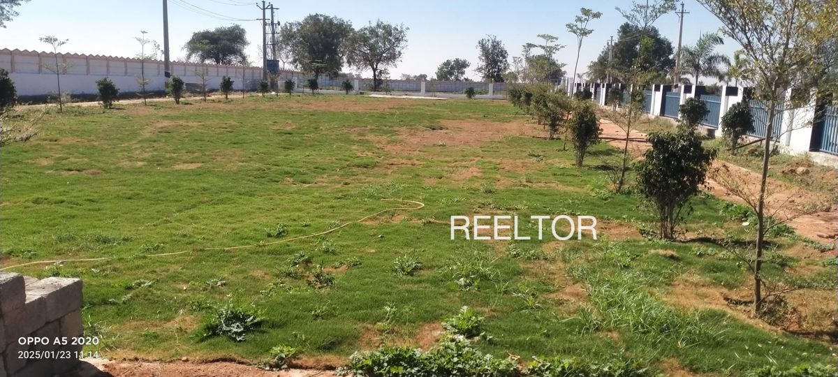 Plots For Sale In Khabra Khurja