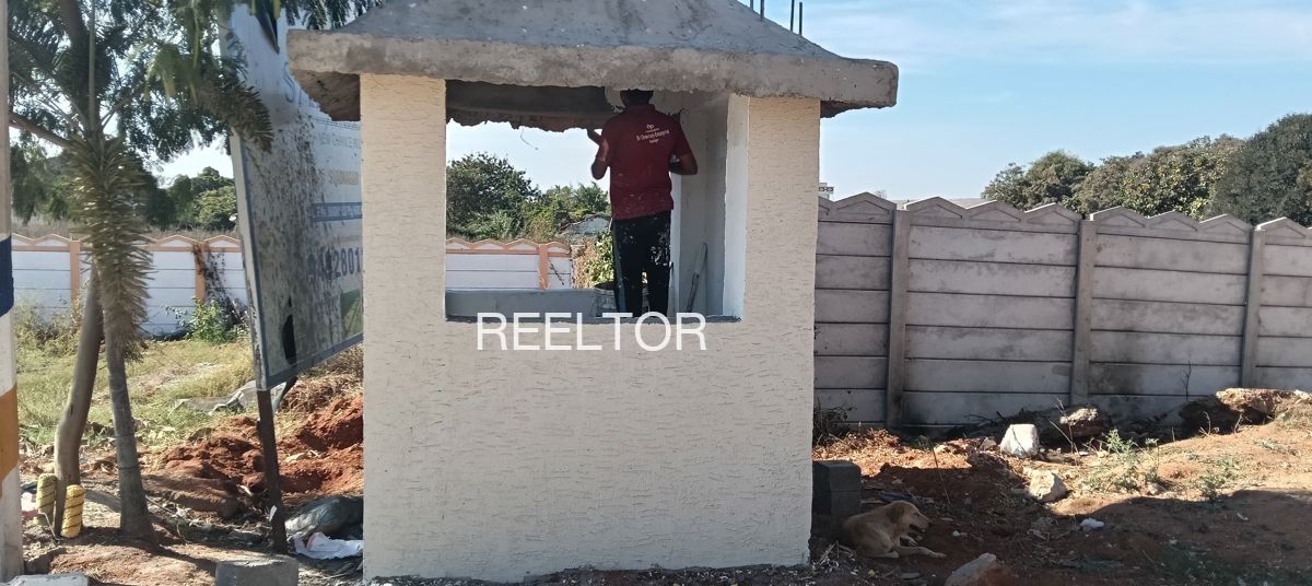 Plots For Sale In Ginri Patta Lohsana Churu