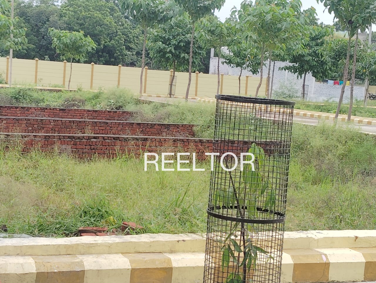 Plots For Sale In Chhitapal Majholi