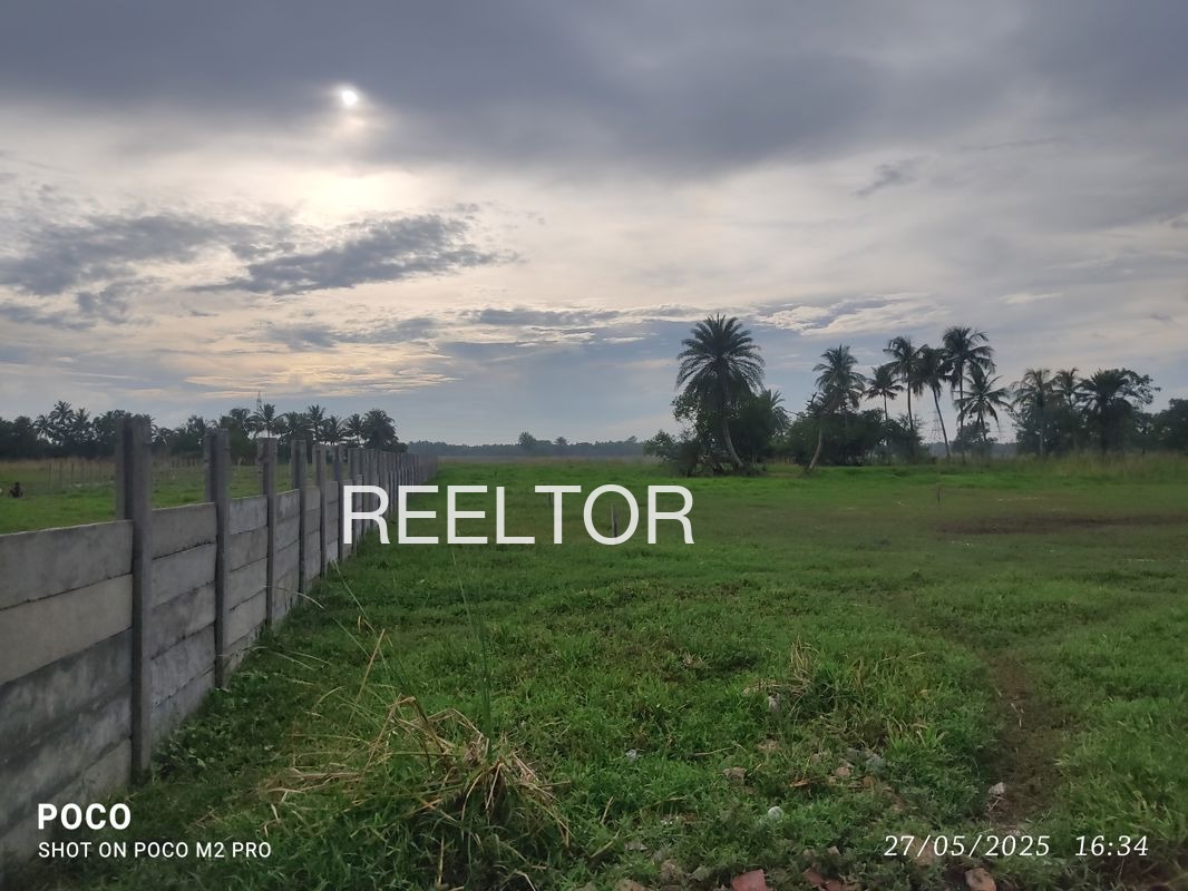 Plots For Sale In Ambari Guwahati