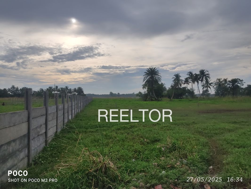 Plots For Sale In Hansuwa Bina