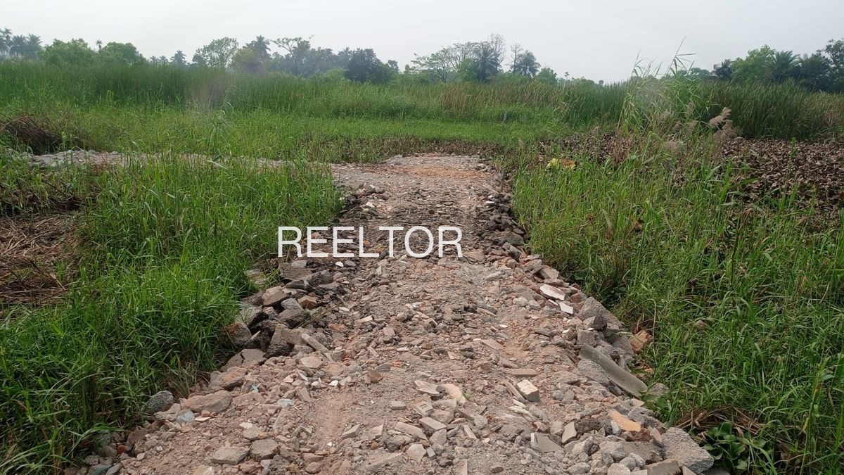 Plots For Sale In Ramunagarthanda Georai