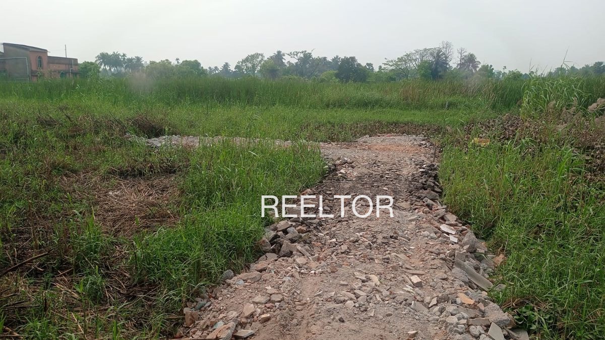 Plots For Sale In Parmaron Ki Bhagal Badgaon