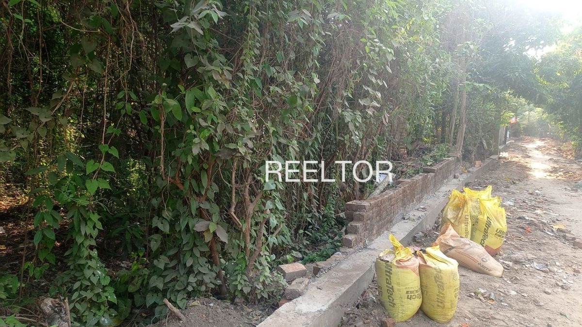 Plots For Sale In Pagariya Pachpahar