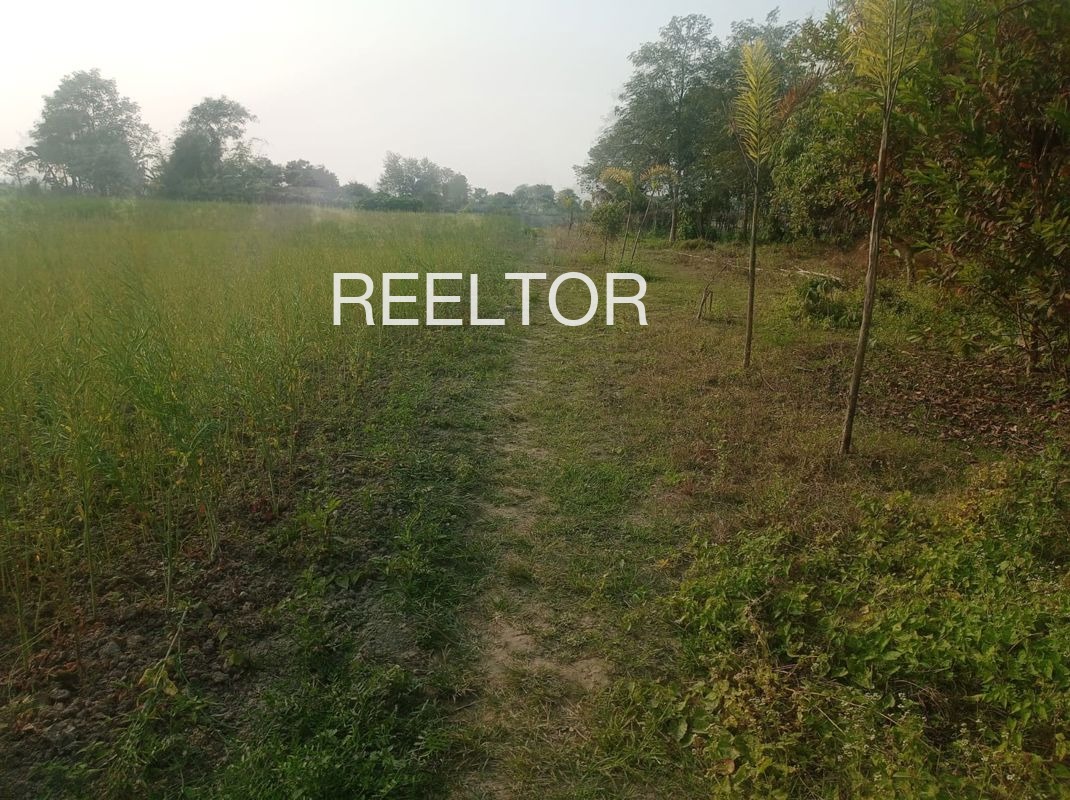 Plots For Sale In Abbapuram Julapalli
