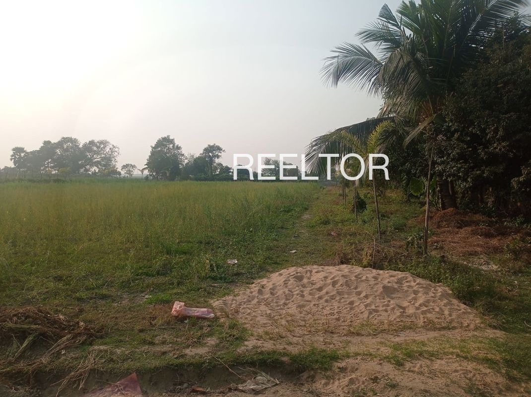 Plots For Sale In Bahadurgarh Jandian Bathinda