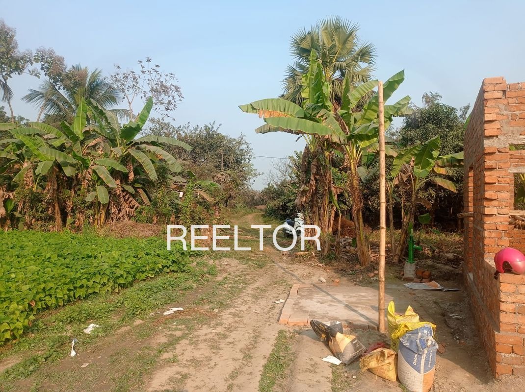 Plots For Sale In Shahajanpur Limba Beed