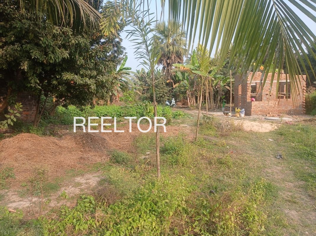 Plots For Sale In Matili Rathan Ganganagar