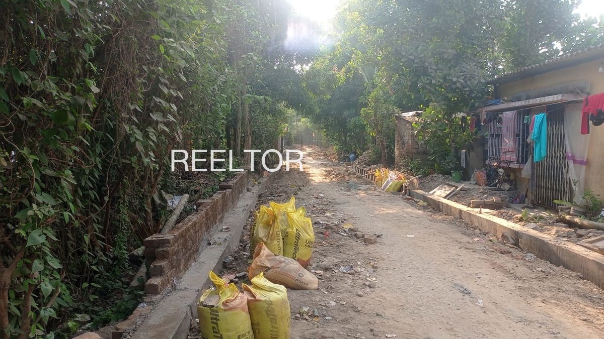 Plots For Sale In Tsokilpur Shangus