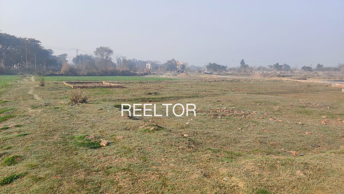 Plots For Sale In Rajoli Toli Arjuni Morgaon
