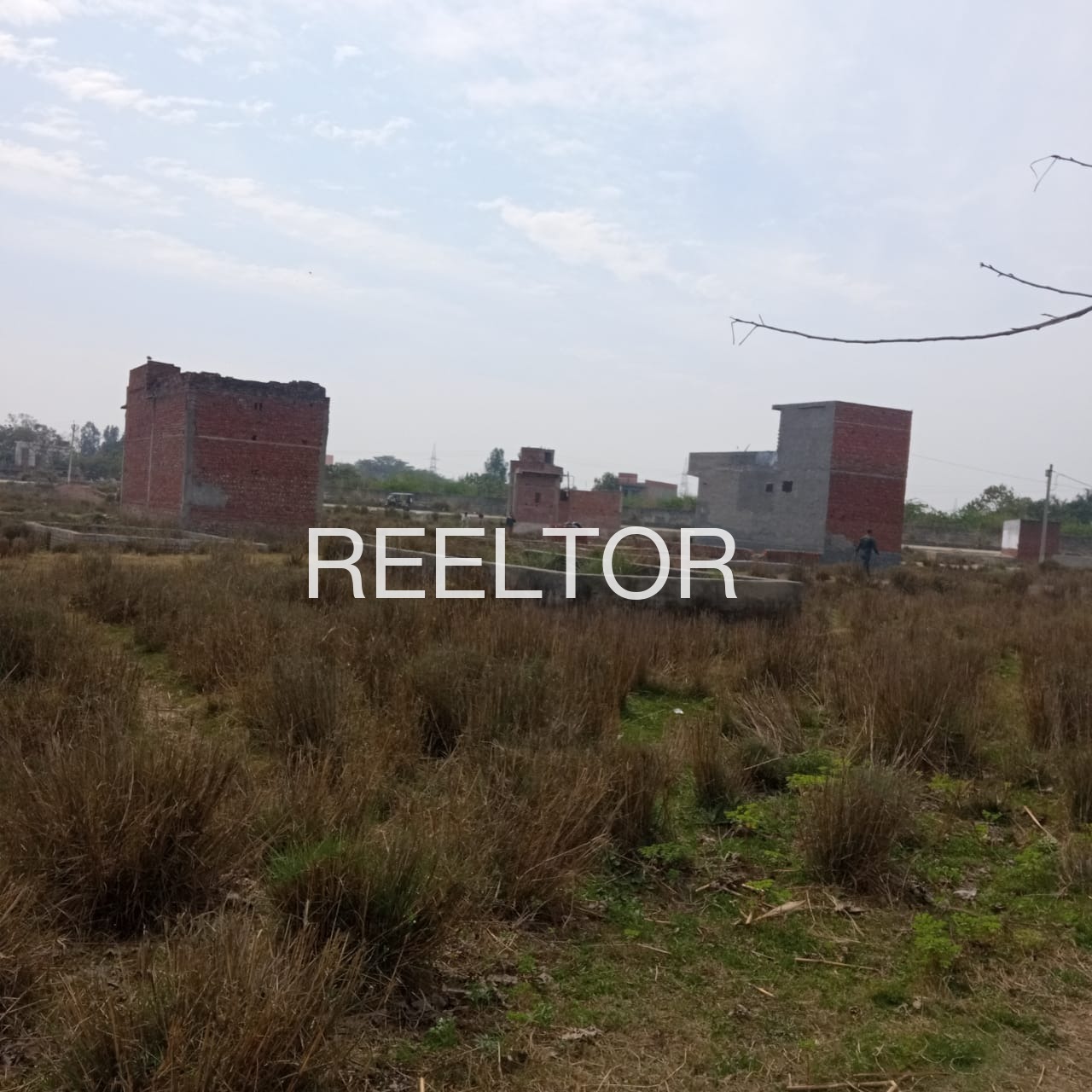 Plots For Sale In Baribhatta Kalyanasingpur