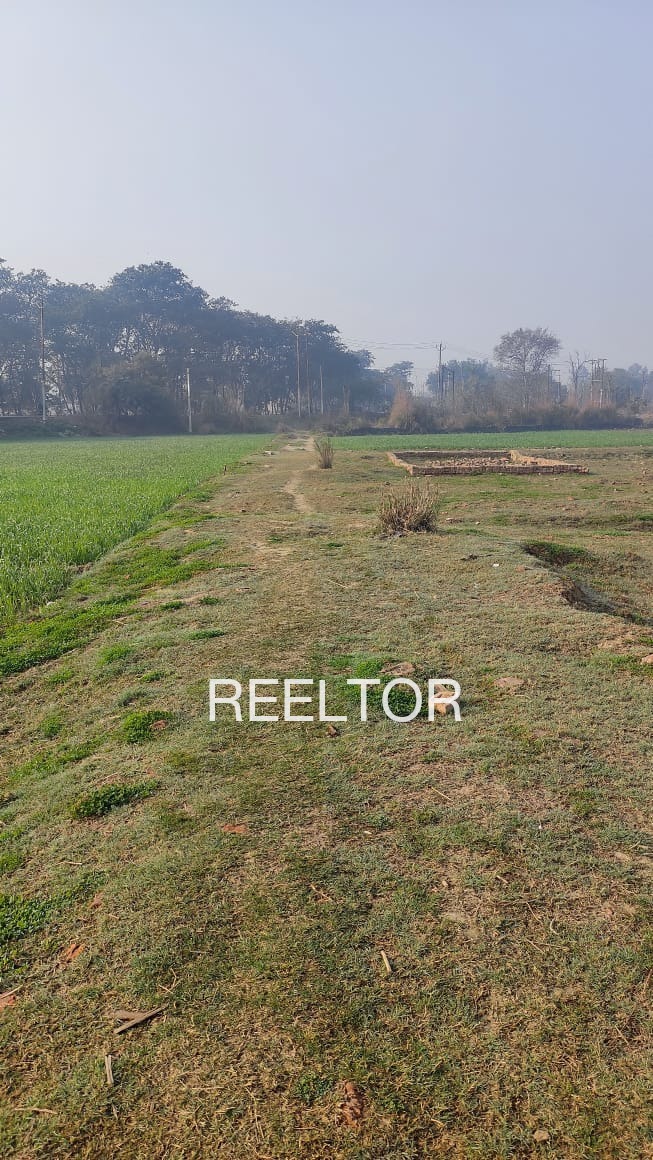 Plots For Sale In Anwloj Jalor