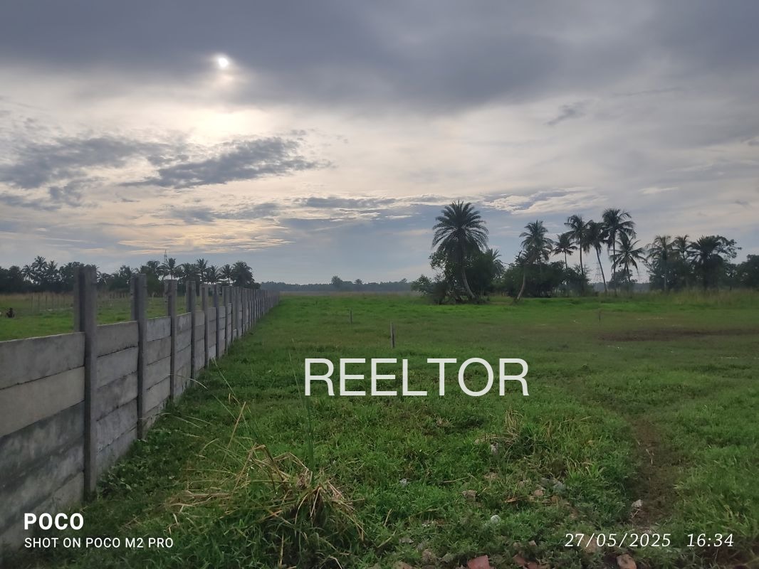 Plots For Sale In Itka Nainpur