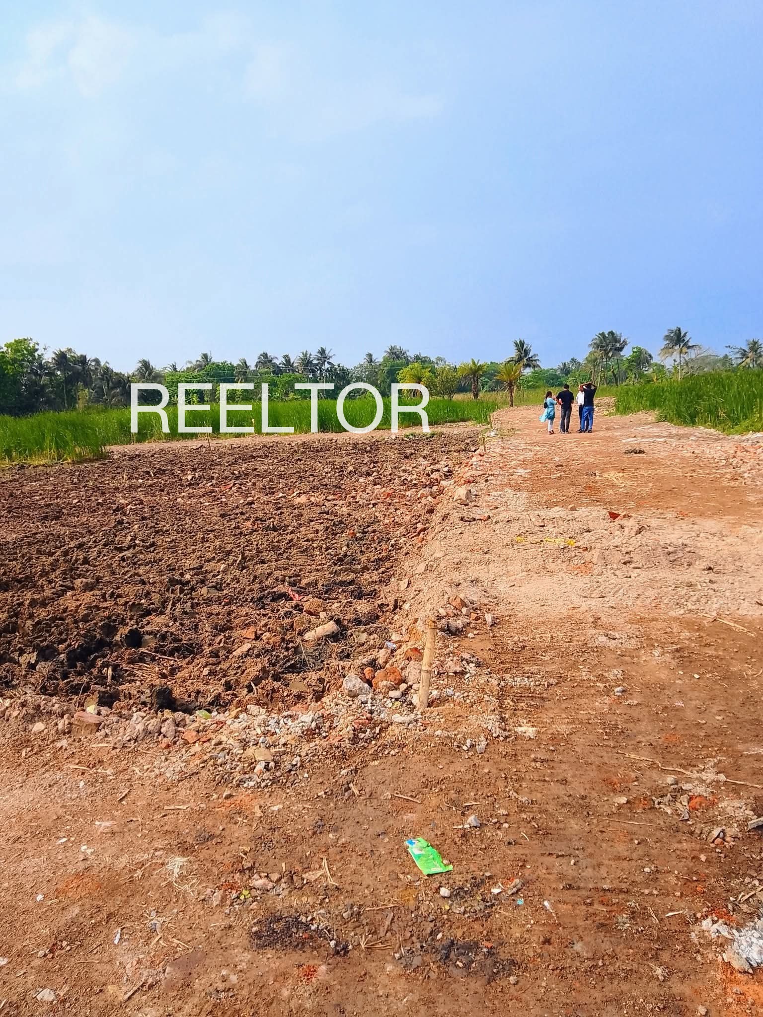 Plots For Sale In Kattukudi Kothamangalam