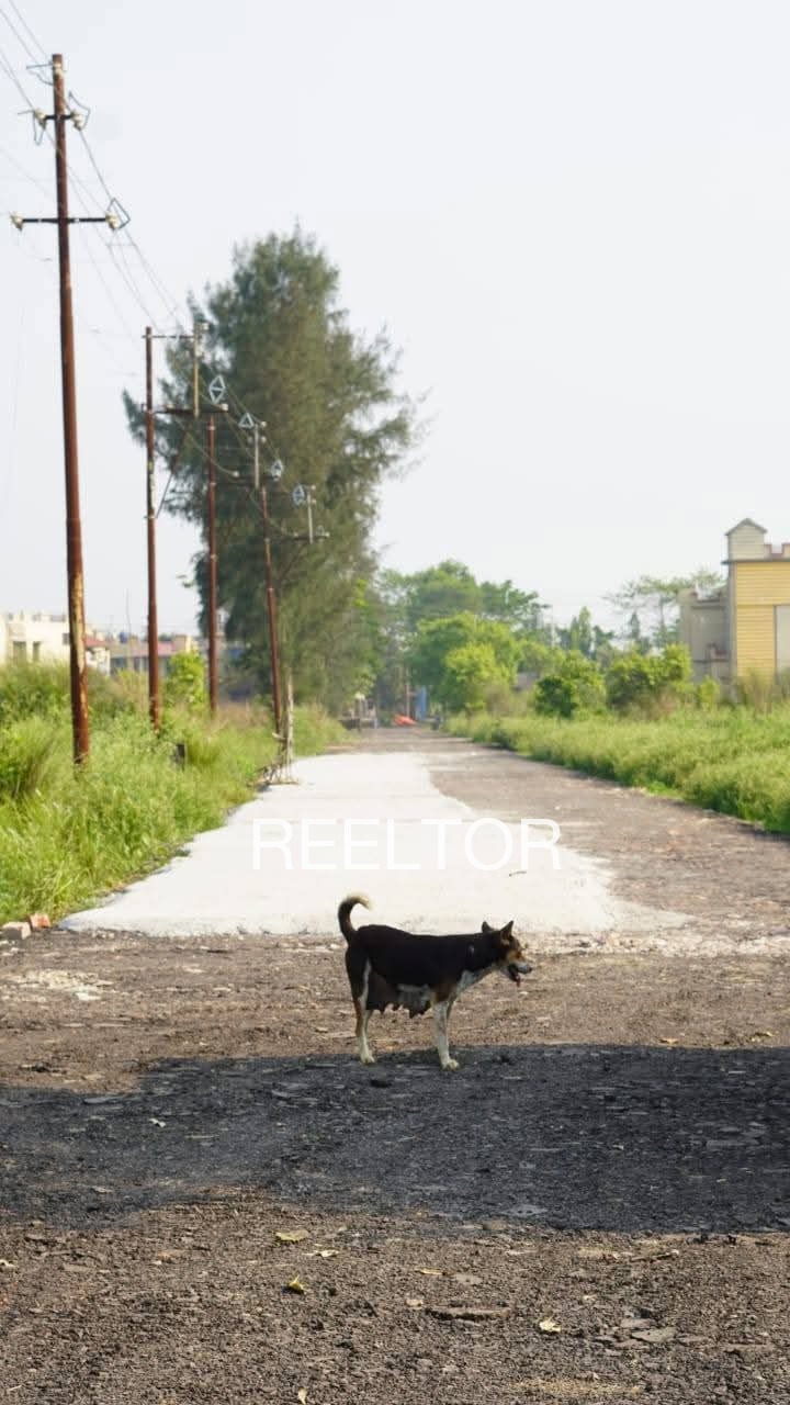 Plots For Sale In Makhori Mau