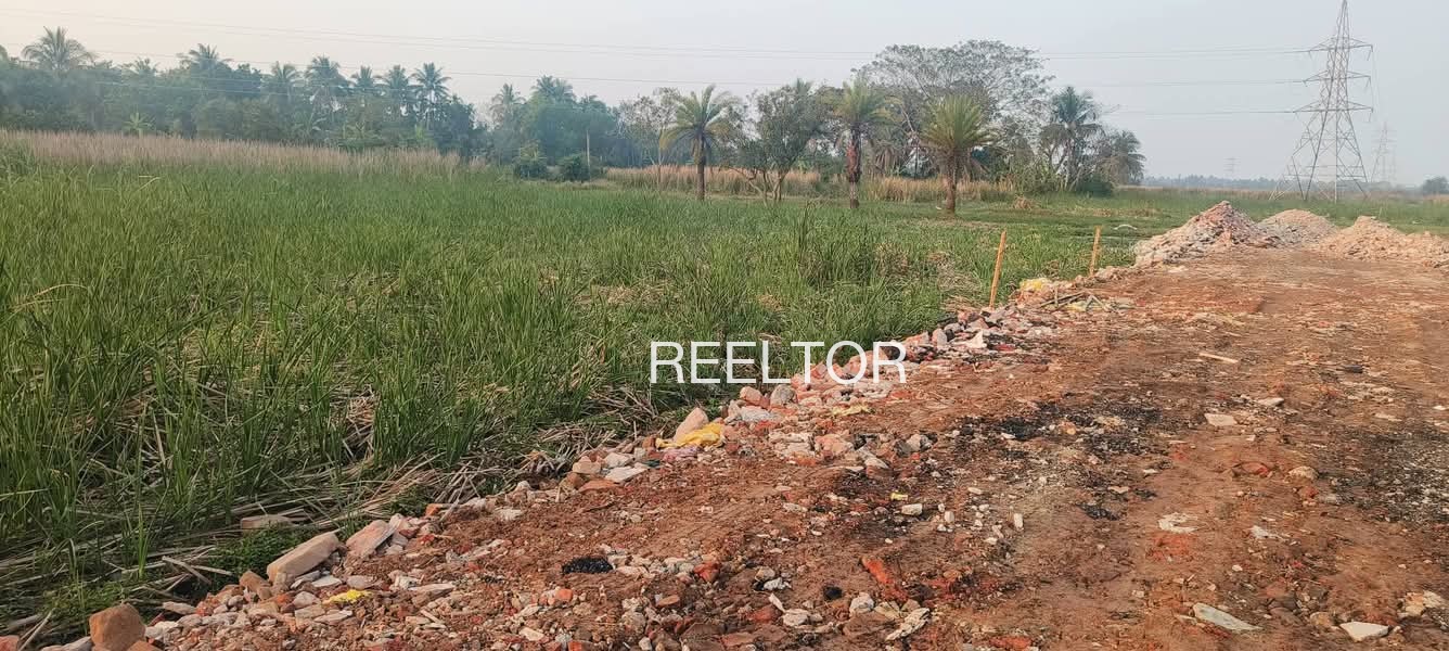 Plots For Sale In Nageshwadi Umarkhed