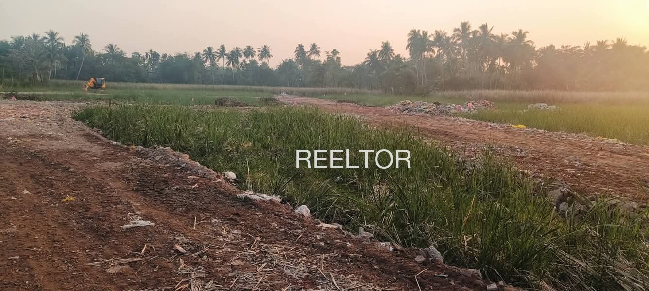 Plots For Sale In Olh Colony Thodupuzha