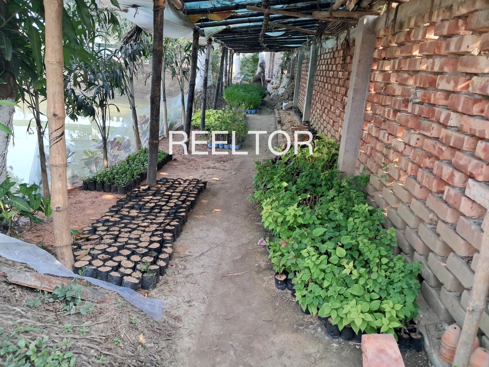 Plots For Sale In Chawandiya Kheenvsar