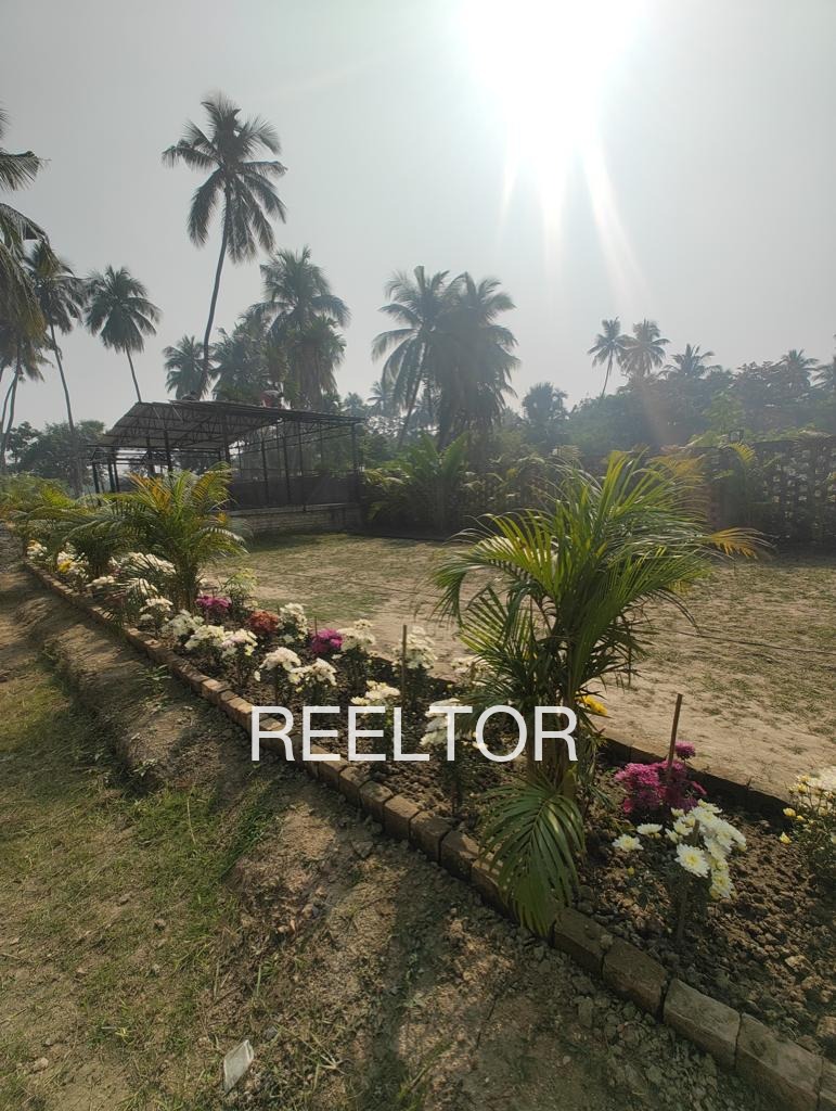 Plots For Sale In Mauran Nabha Tapa