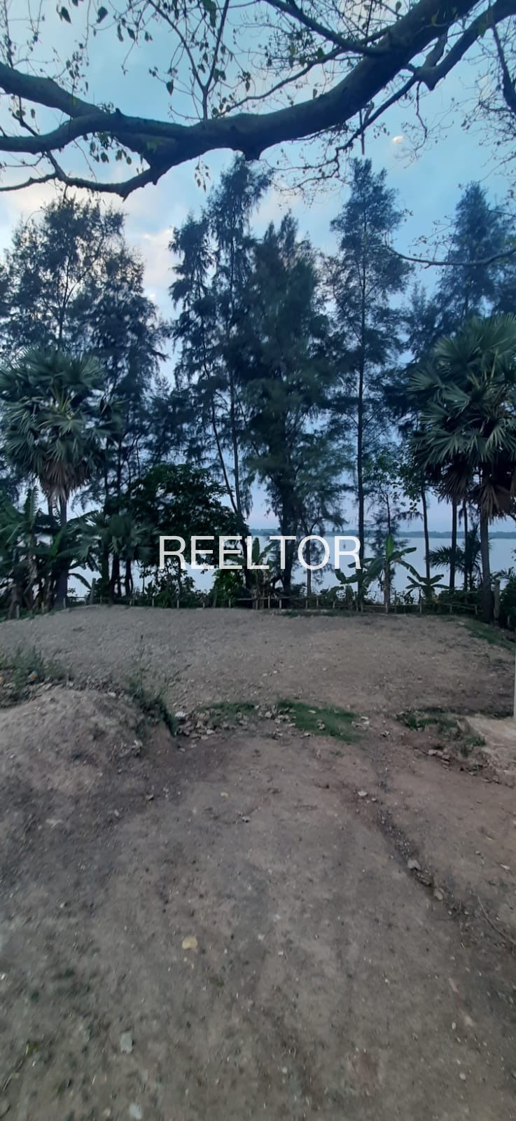 Plots For Sale In Dhutakhedi Alot