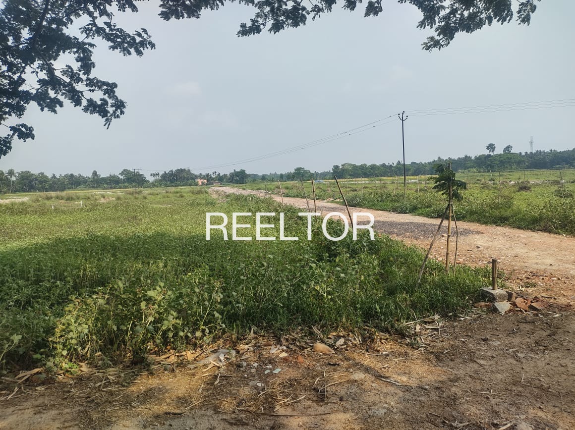 Plots For Sale In Mulchera Maharashtra