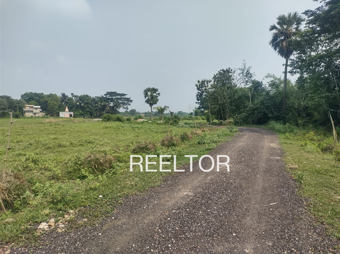 Plots For Sale In Dhulmahu Ghatiya