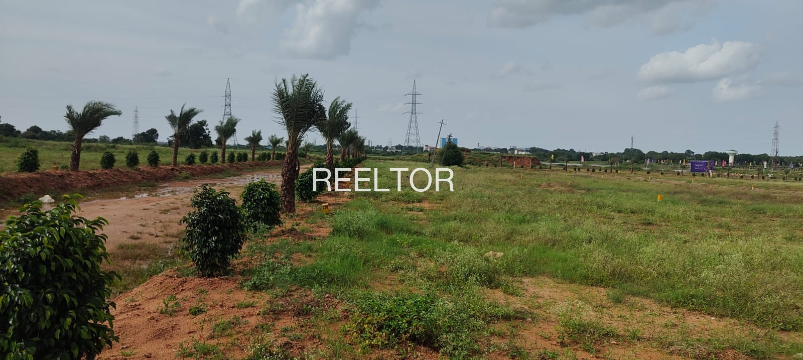Plots For Sale In Purabdih Gola