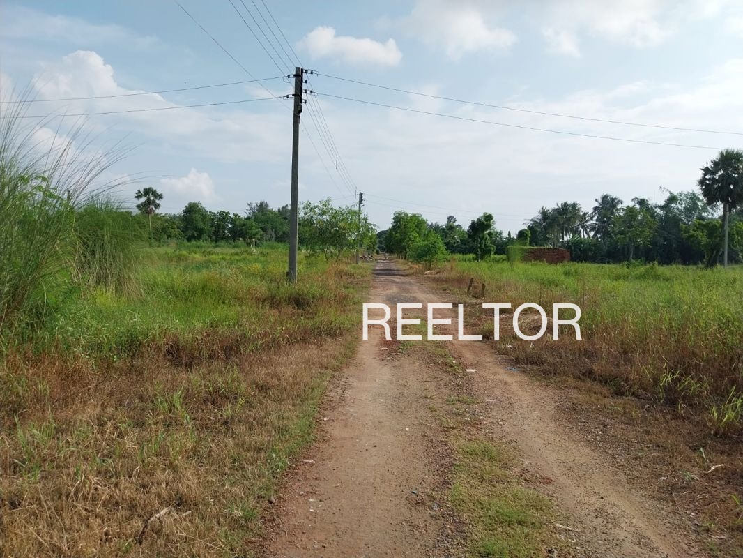 Plots For Sale In Khajuriya Jawar Jawar