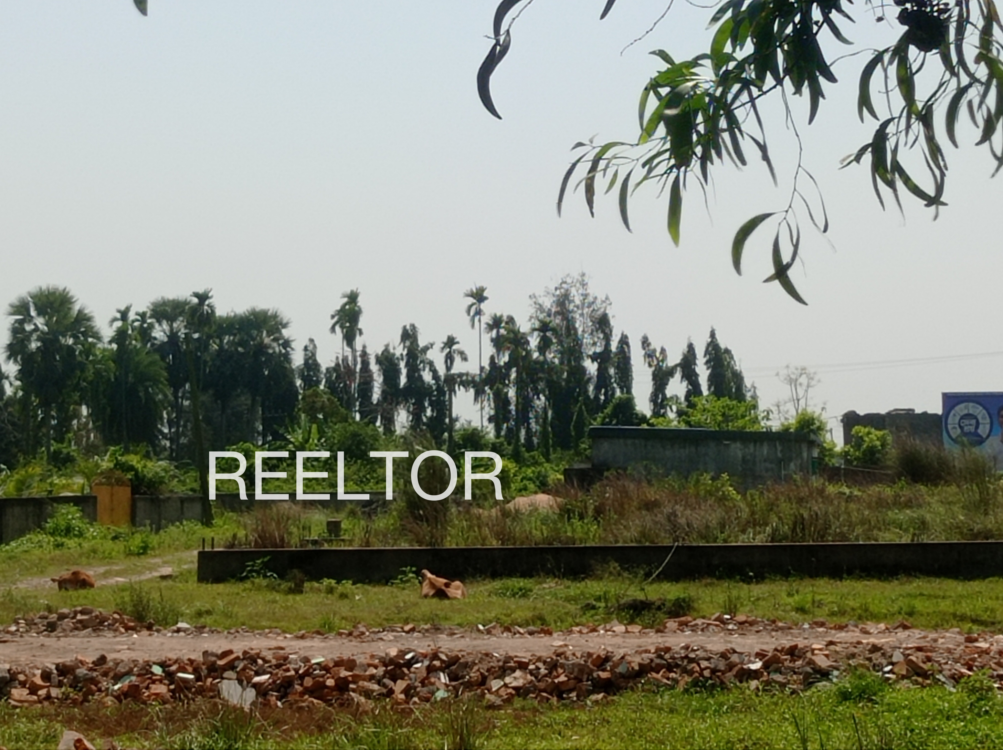 Plots For Sale In Chak Banjiya Shadhora