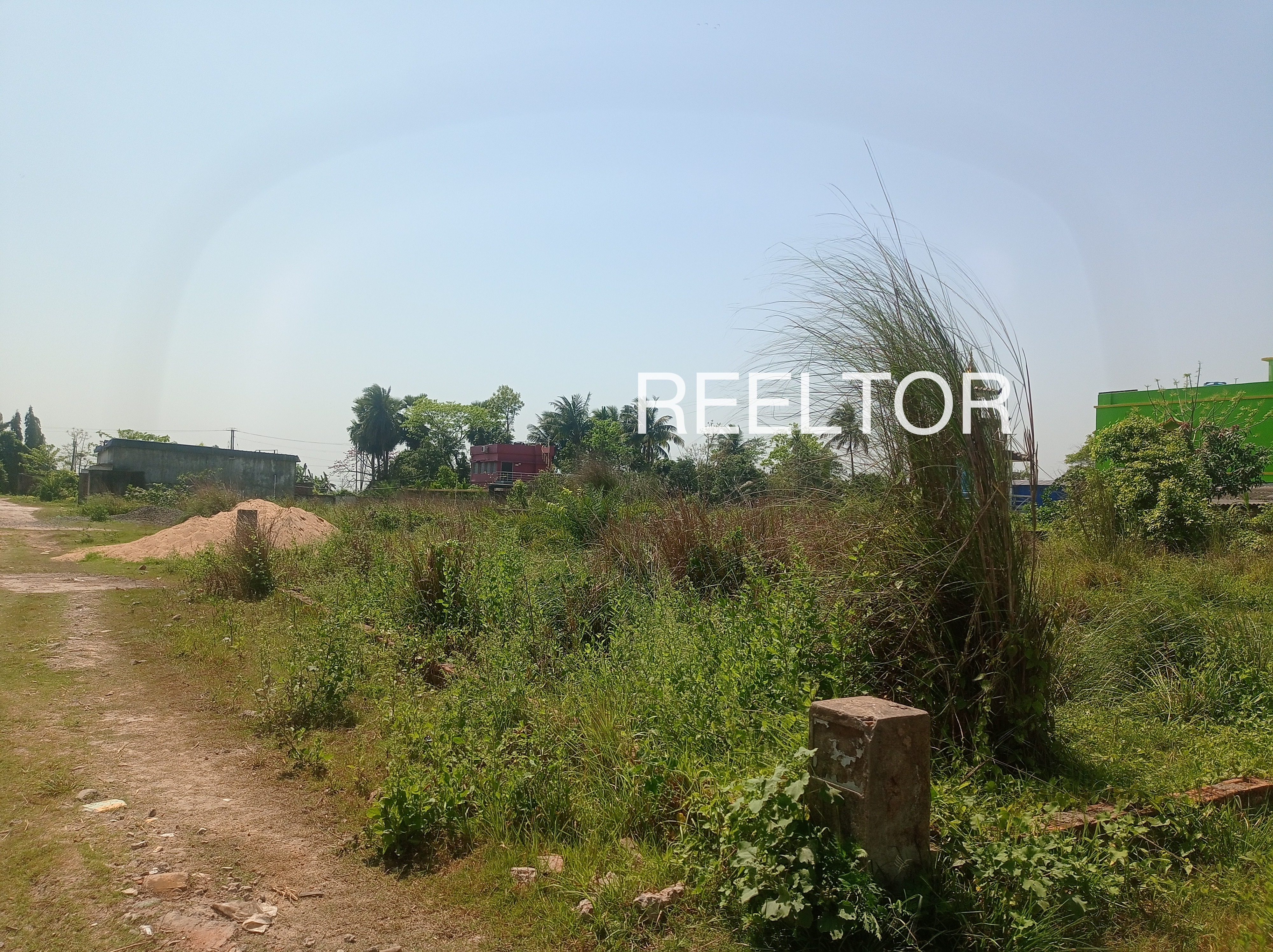 Plots For Sale In Mallu Wala Zira