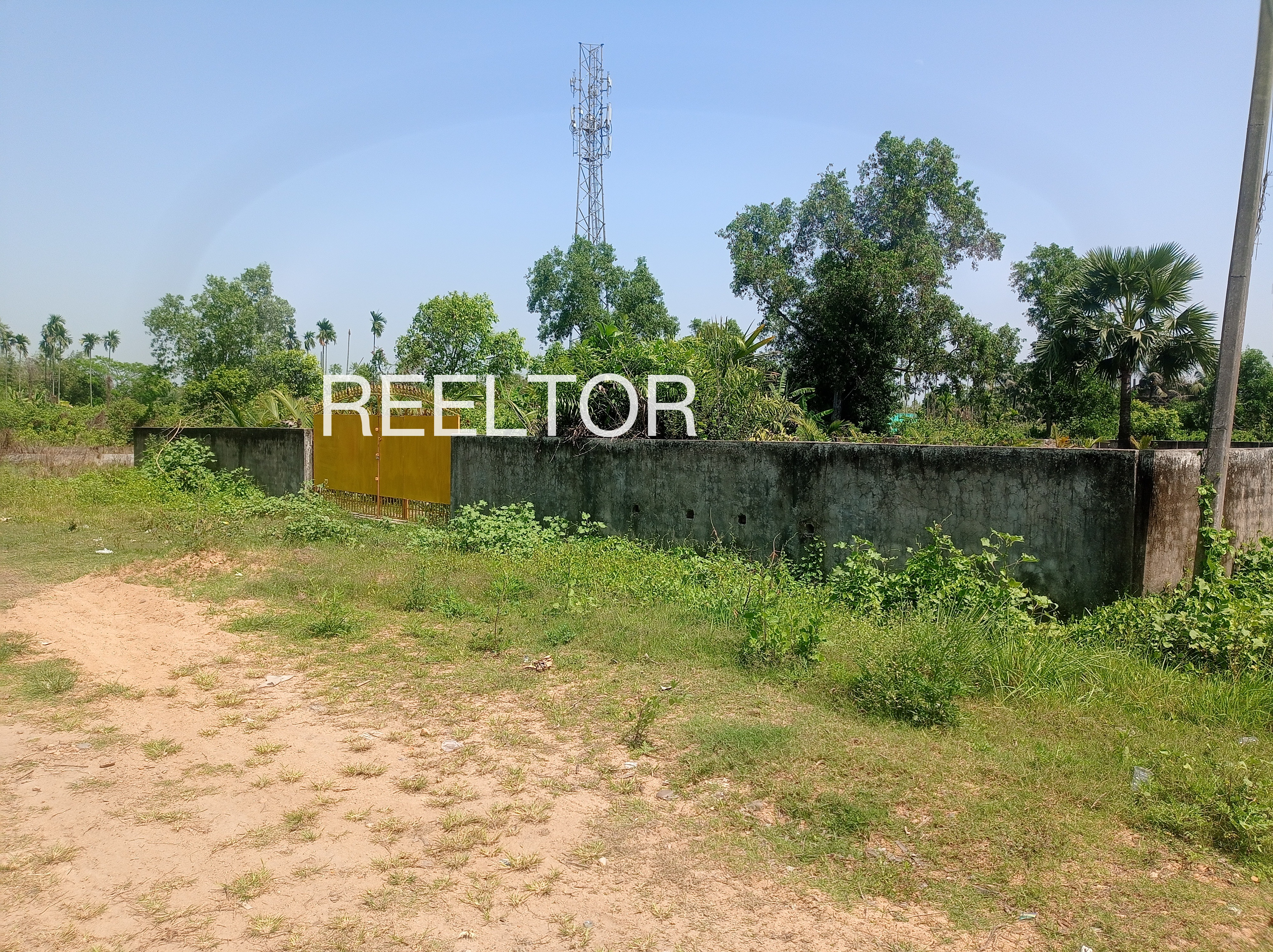 Plots For Sale In Mallu Wala Zira