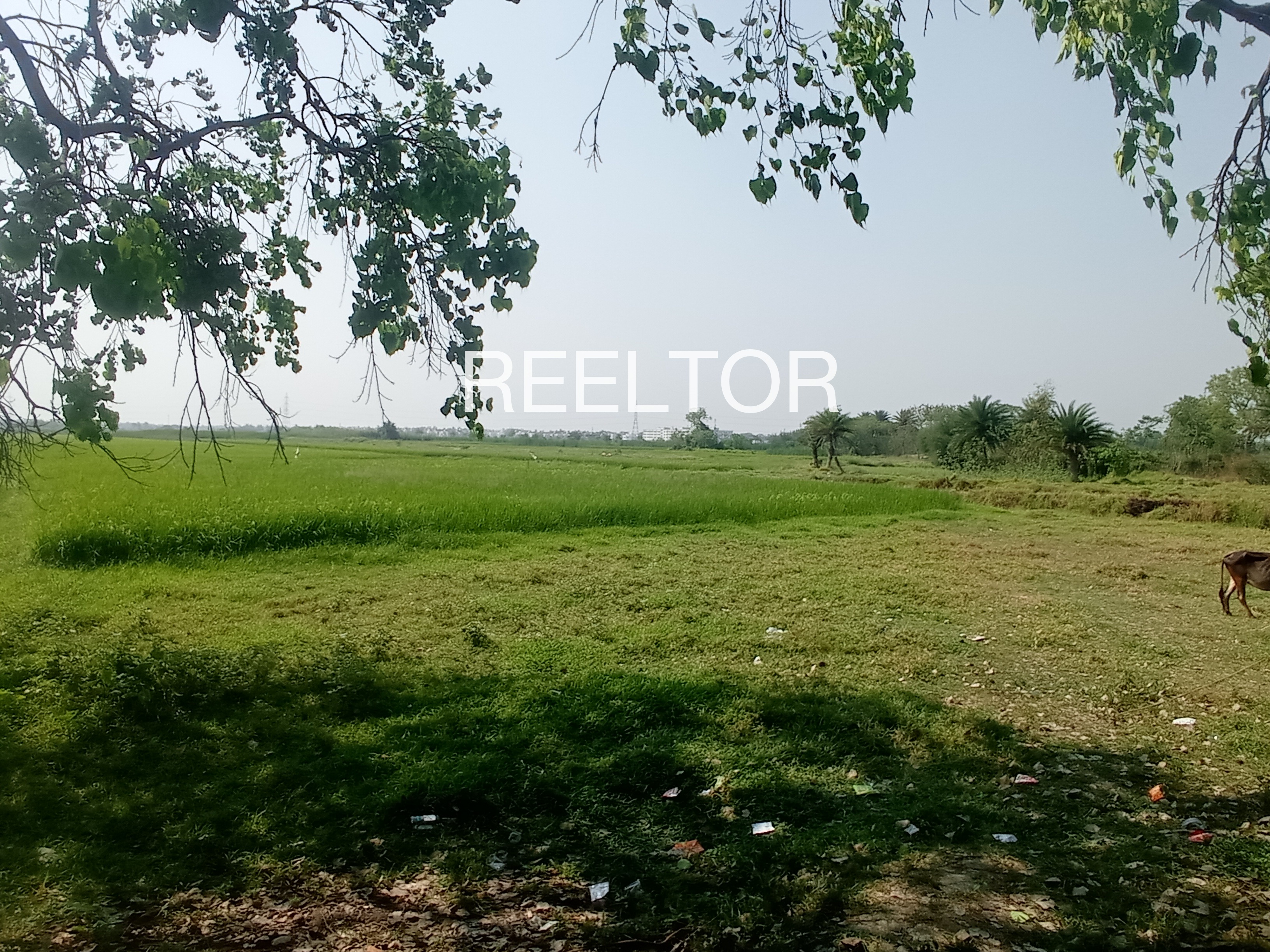Plots For Sale In Bargam Awantipora